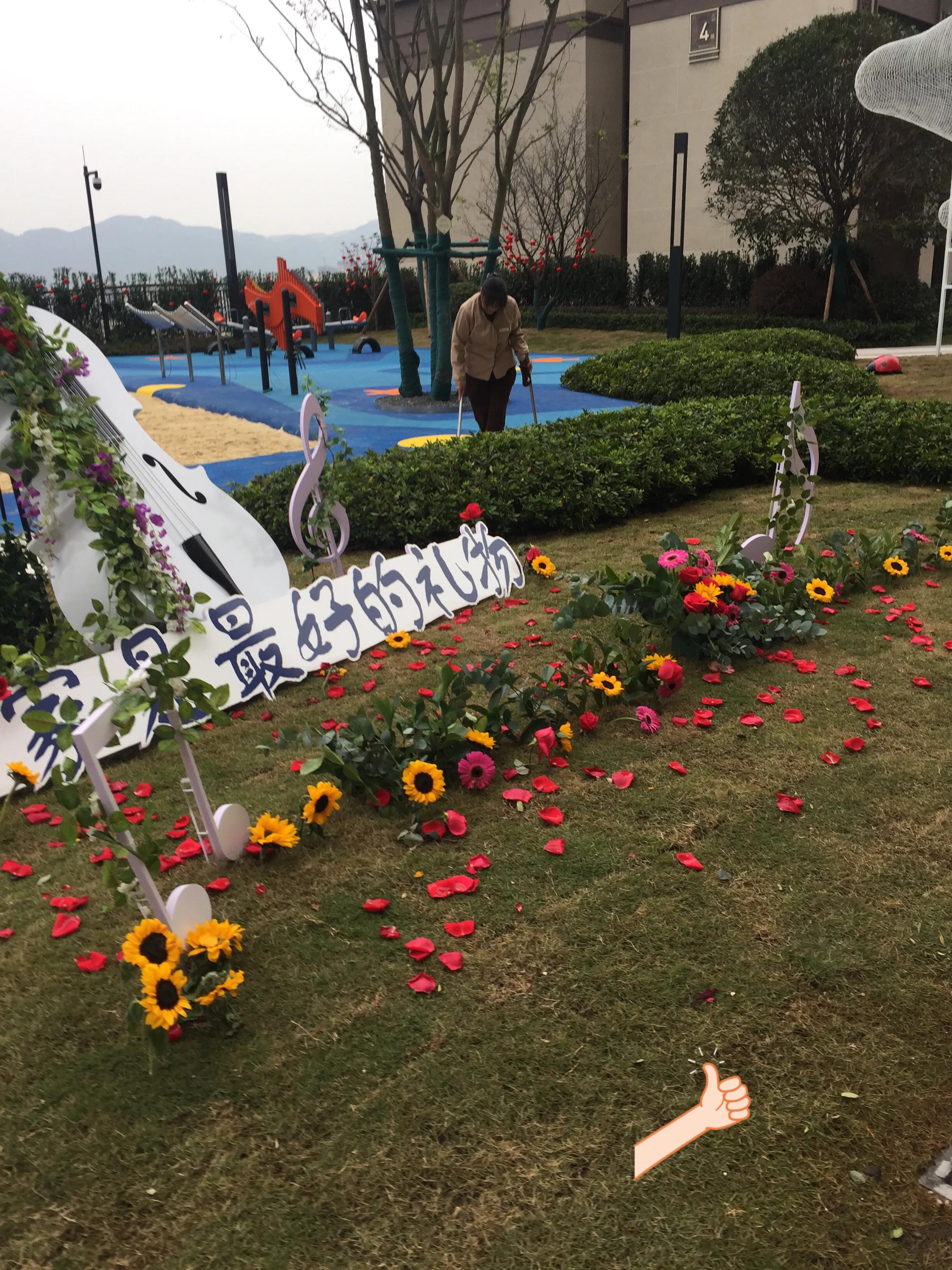 请问南京朗诗:乐府Top系就是重庆朗诗乐府这个鬼样子?