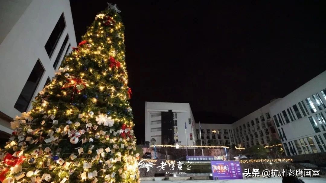 老鹰画室2019招生简章,不是所有的选择都能选择