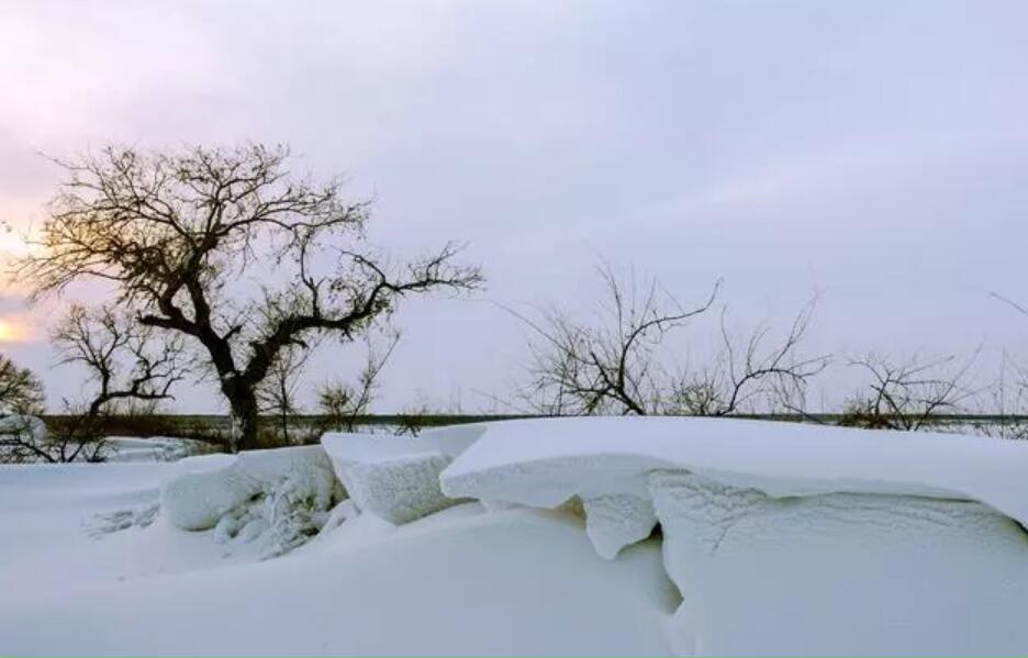 十首最霸气的毛*东泽**诗词,值得每个人一生收藏!