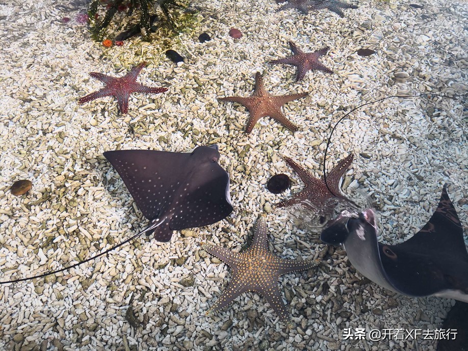 说走就走的旅行攻略省钱一天,说走就走的旅行攻略大全