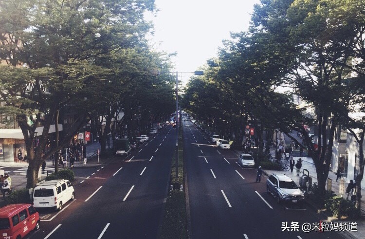 第一次出国亲子游一定要选这里！7天6晚东京自由行全攻略