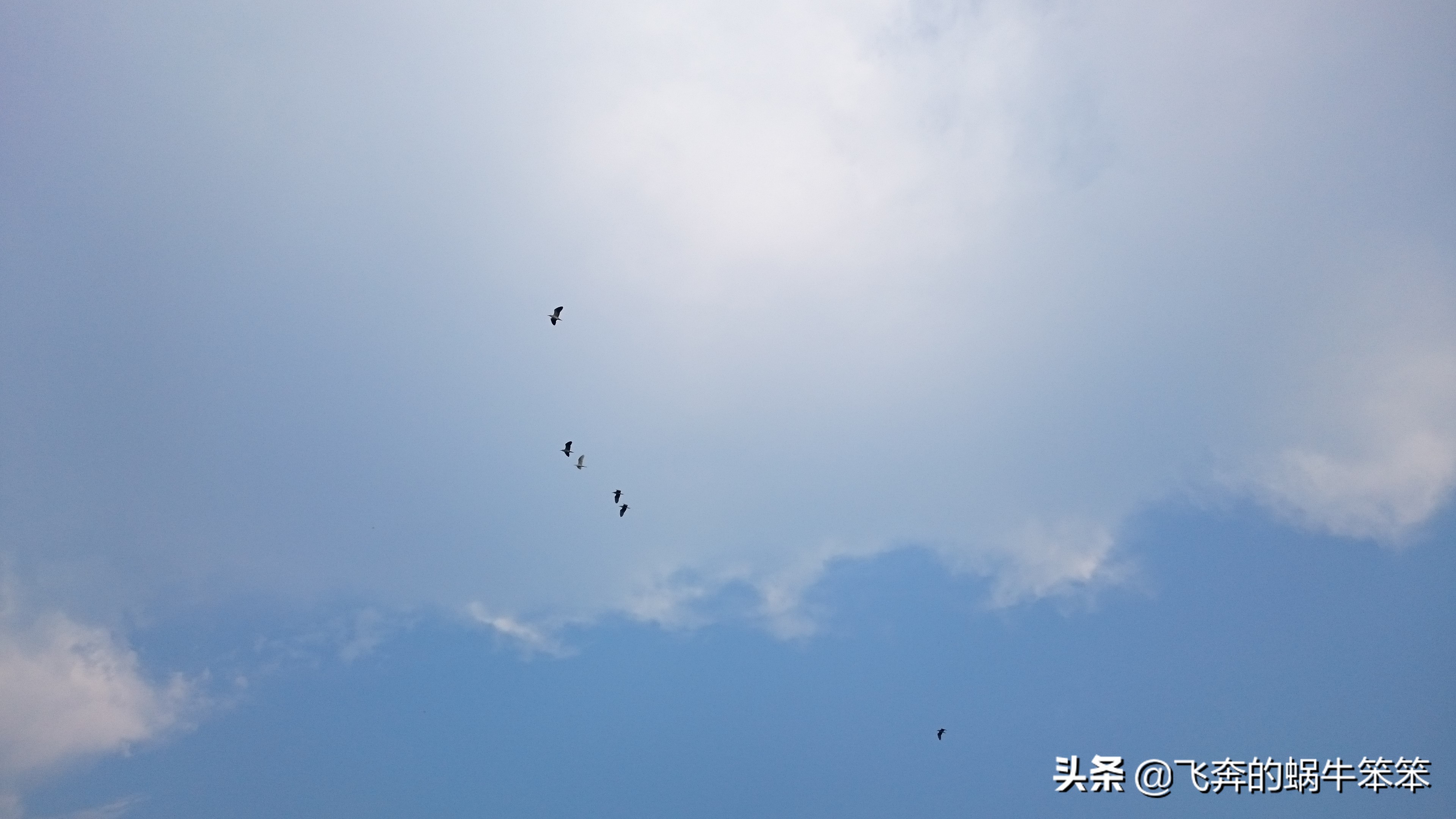 乐亭月岛赶海攻略,赶海看日出