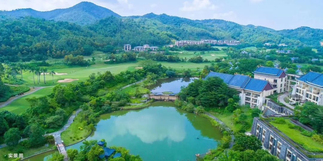 深藏在森林之中的温泉酒店,隐藏在森林里的豪华酒店