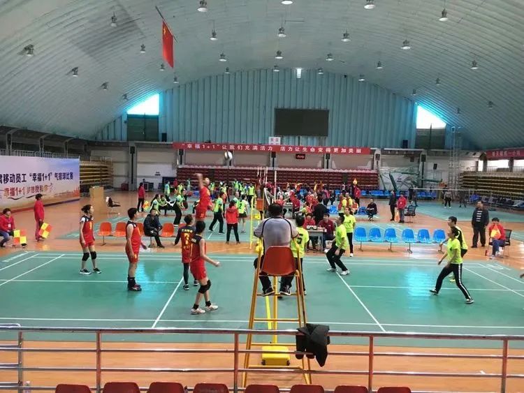 排球队的精神,排球队