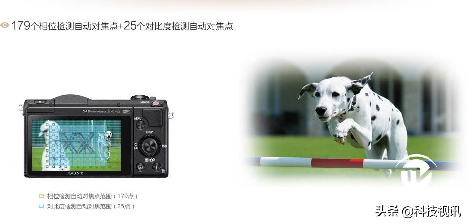 摄影爱好者入门微单推荐,体验人像摄影艺术