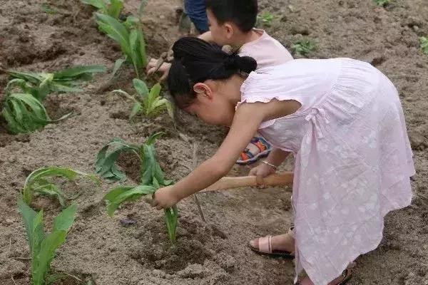 广州站丨2019天露山旅游产品推介会圆满成功！