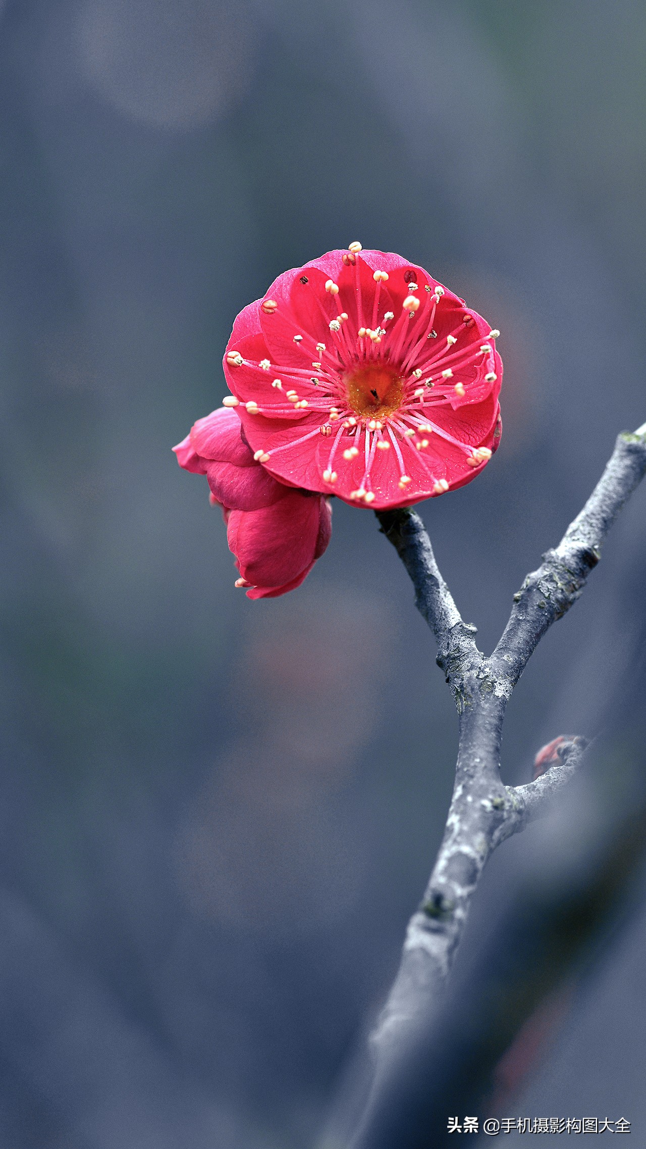把你的相片做成动态图片,试试你的照片动漫效果