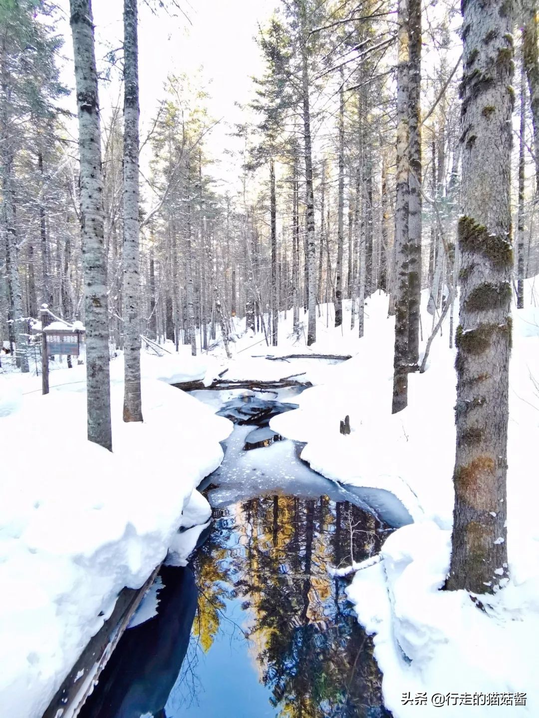 长白山天池猴子泡温泉 (长白山冬天看天池)