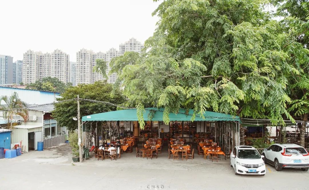 开渔啦一大波海鲜,开渔喽