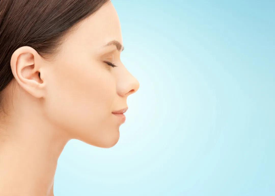 怎样才算是最美的鼻子,颜值最高的四种鼻子型