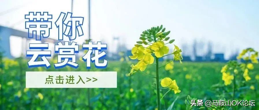 体验在安徽生活二十年,在马鞍山生活的经历