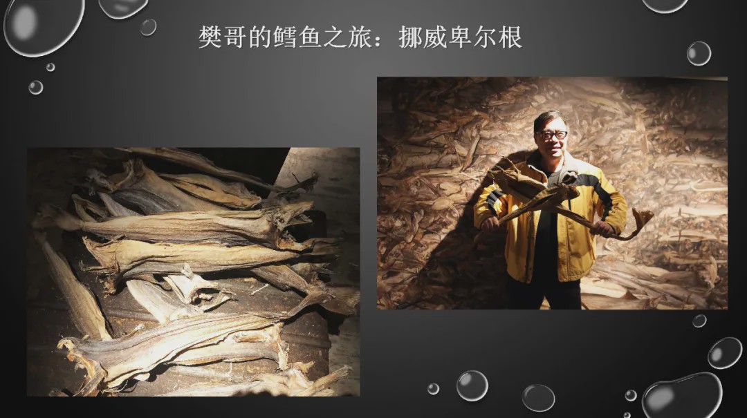 樊哥说中国美食,樊哥讲冰鲜生鲜