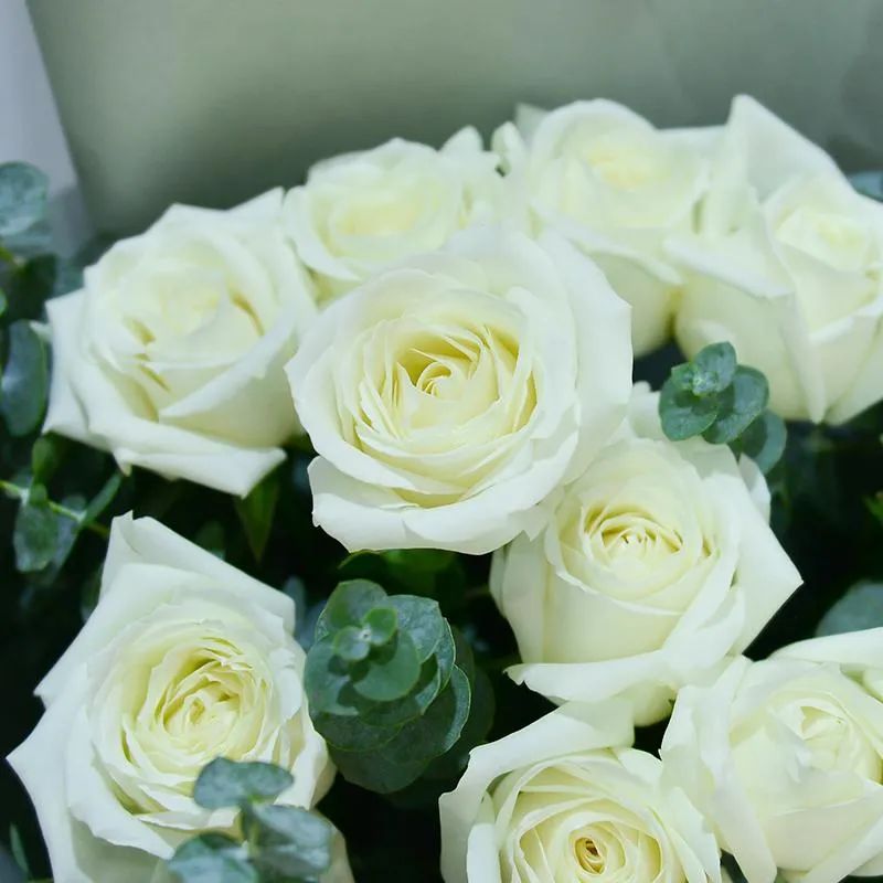 什么花适合扫墓献花,清明节扫墓送什么花比较合适