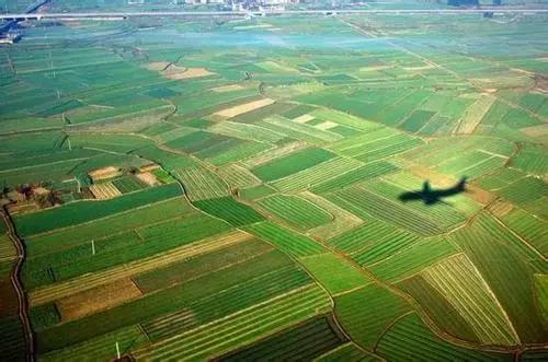 十个创业九个死的原因到底是什么,十个创业九个死哪些行业是重灾区