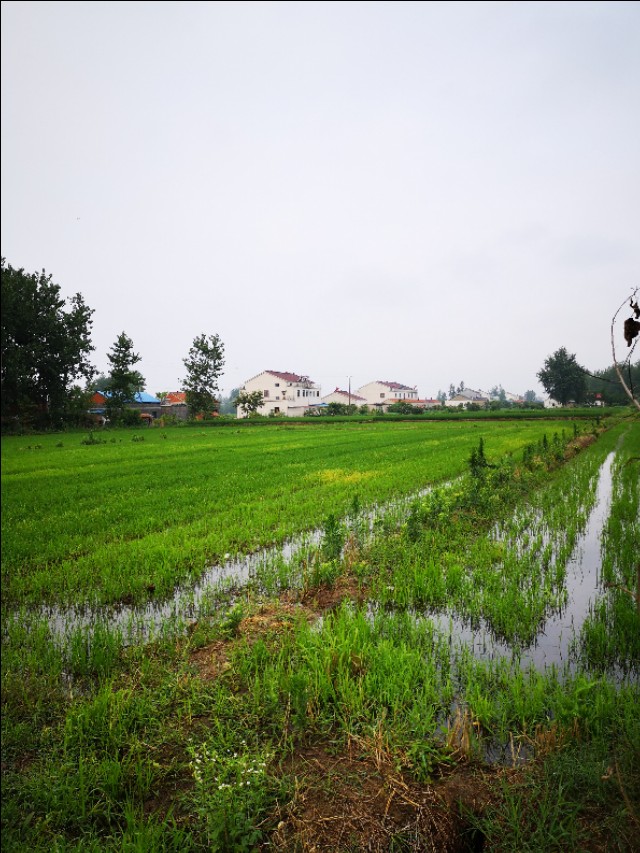 小时候的夏天农村夜晚,儿时夏天的记忆