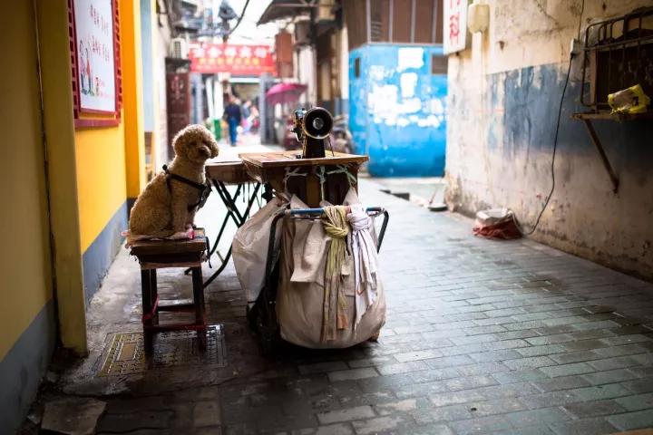 十一八天乐，七天在武汉