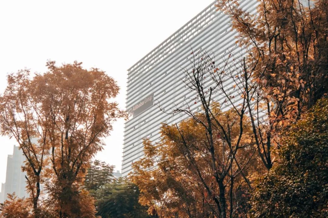 成都最贵的街是哪里,成都最豪华的步行街