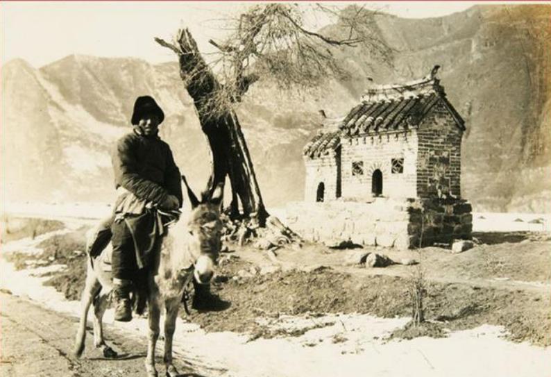 民国奇探女尸案,民国奇探杀人抛尸案