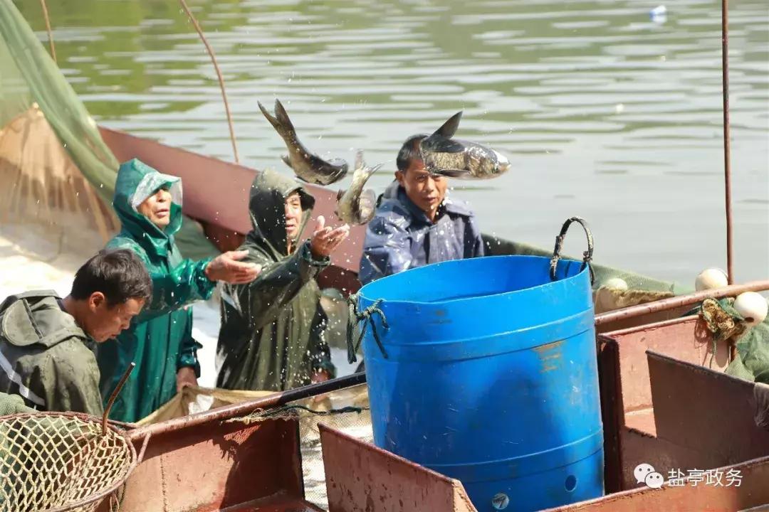 沃野千里风景图,山乡巨变之美不胜收