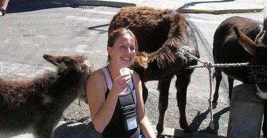 母乳牛奶羊奶营养价值对比表,羊奶和牛奶哪个营养更全面