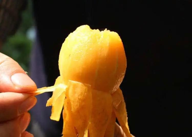 城厢区常太镇首届“壶兰耕读·云上枇杷文化节”暨第22届枇杷节来啦！快来“嗨枇”吧~