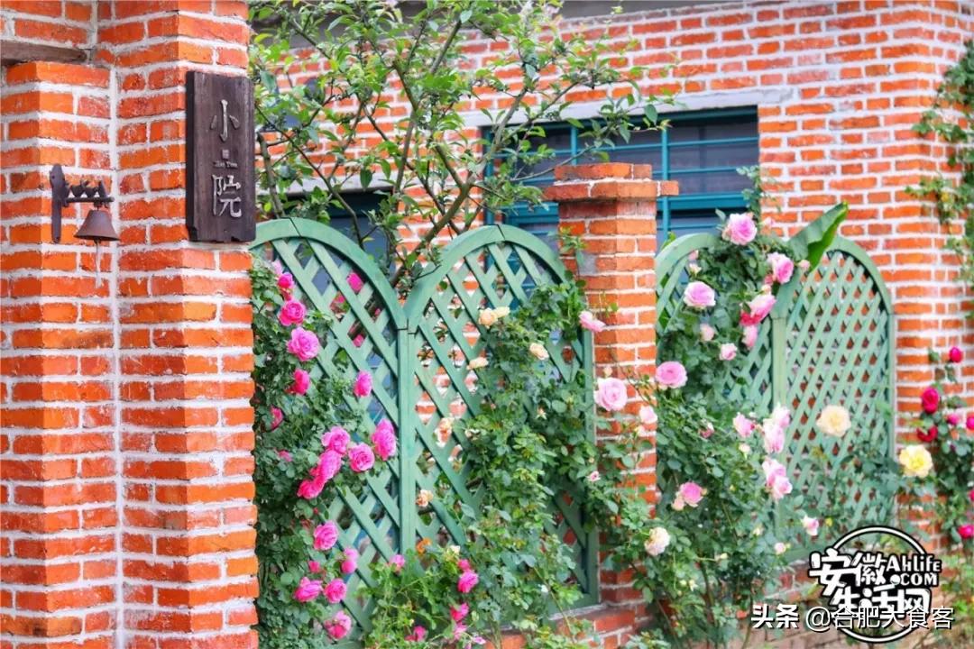 2020年，在这50个地方遇见不一样的合肥