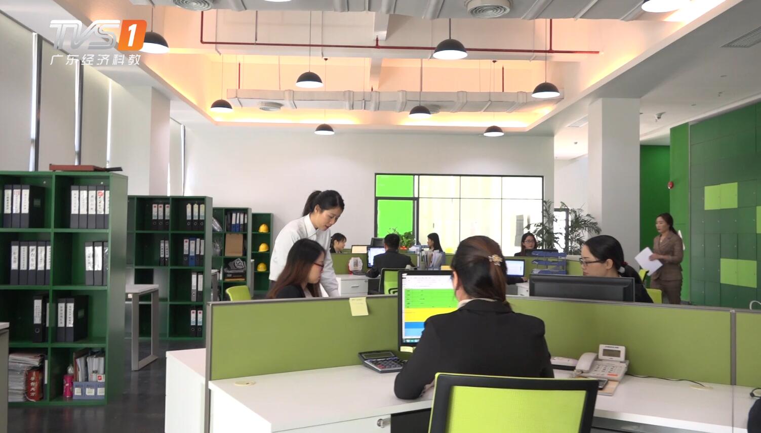 广东经济电视台新闻栏目,广东经济频道聚焦南粤