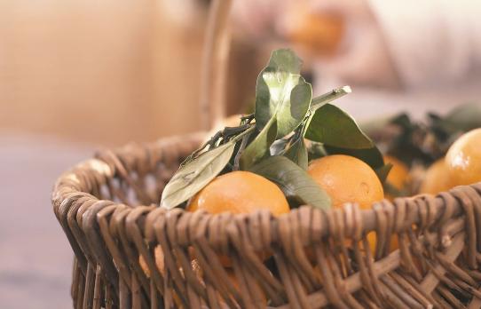 老式传统橘饼怎么制作,糕点橘饼的制作方法