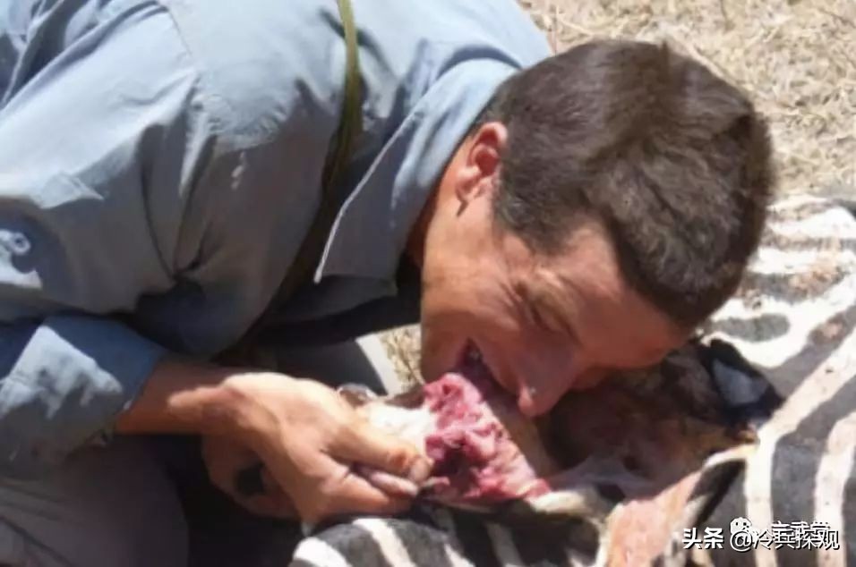 贝爷刀具大全,贝爷使用过的户外刀