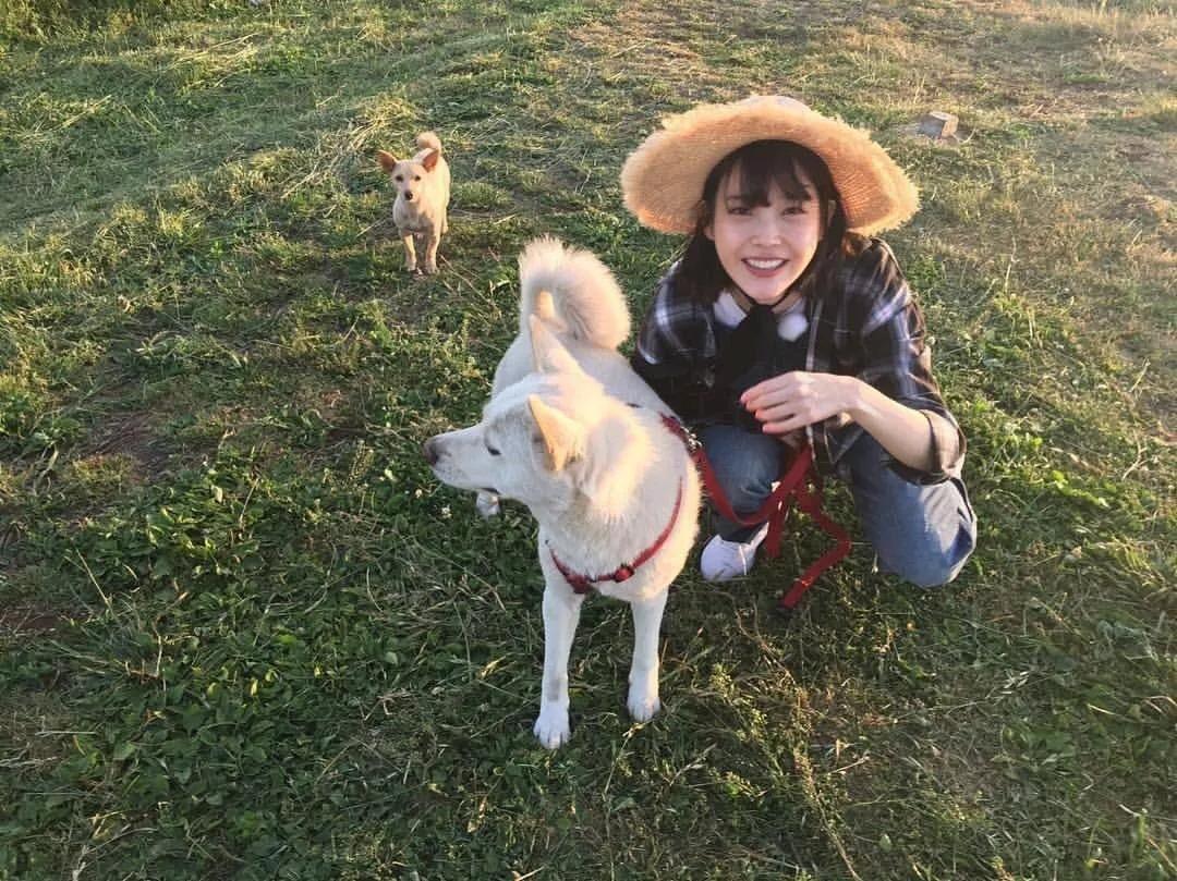 除了《乘风破浪的姐姐》,不出门的日子你也可以看看这些神仙综艺