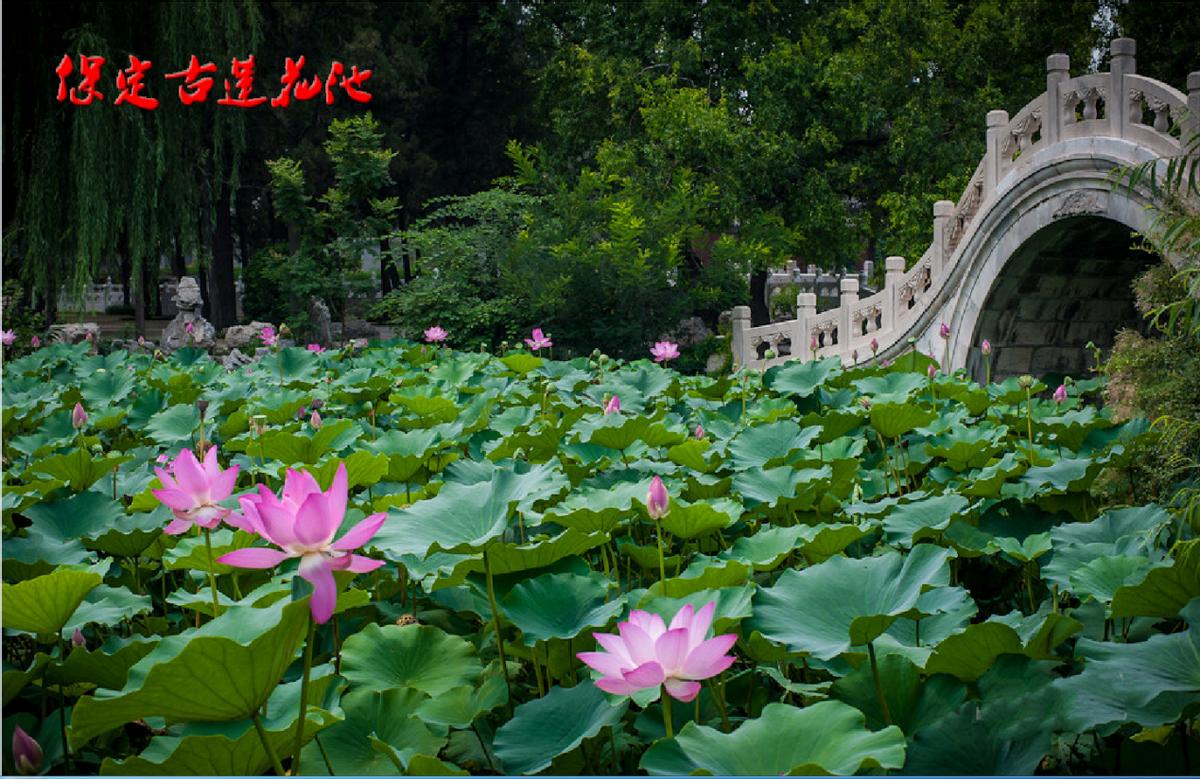 河北保定行政区划调整,保定行政区划最新规划