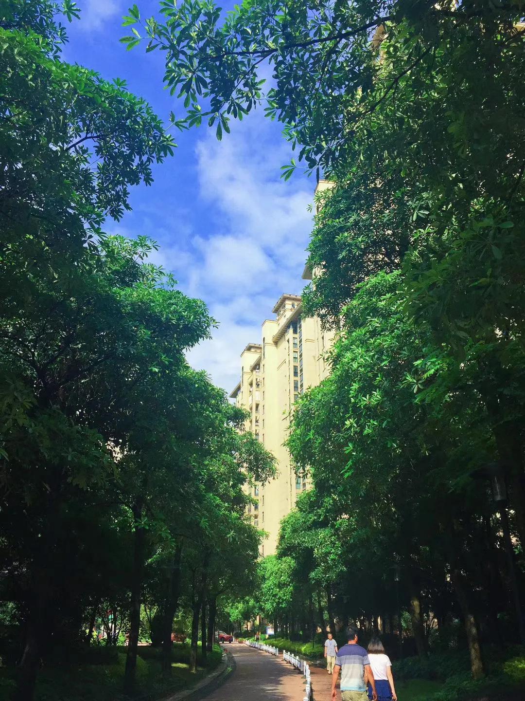 福州租房图鉴大全,福州福湾租房800元以下