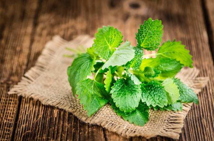 八种身兼多职的鲜花，既是鲜花又是香料！