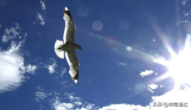 如何从恐惧中走出,活在恐惧之中的人如何自救