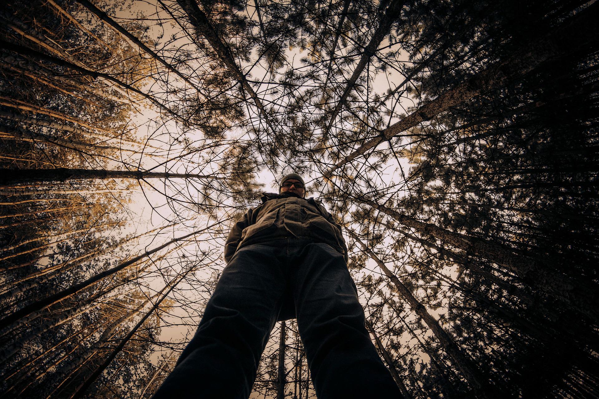 考试焦虑压力与效率的关系,考试焦虑正常吗