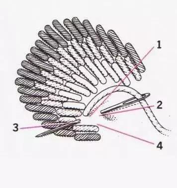 刺绣基本知识之刺绣针法,学刺绣教程绣字