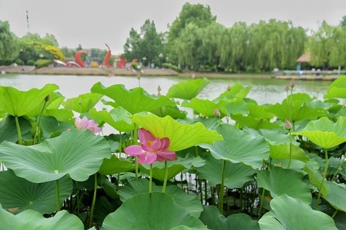昌平未来五年的发展,昌平未来五年