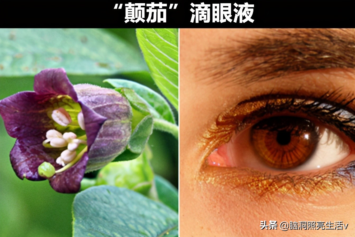 濂囪懇缇庡,濂囪懇缇庡鏂瑰紡