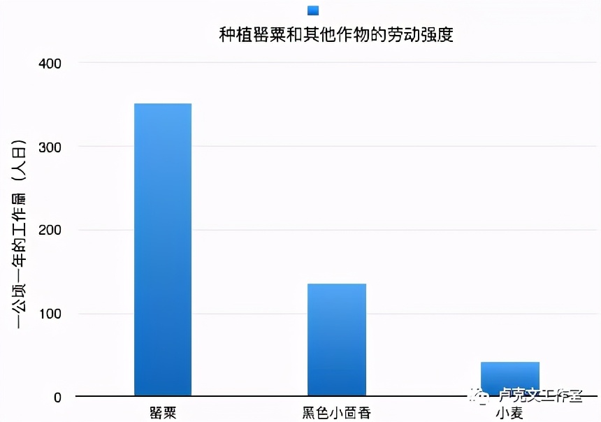 塔利班的前世今生,塔利班的前世今生下