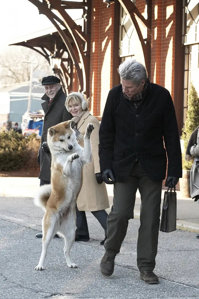 忠犬八公:愿我如星君如月,夜夜流光相皎洁