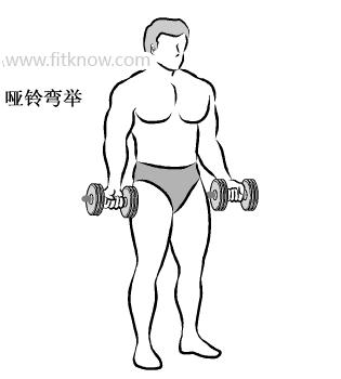 哑铃锻炼肱二头肌方法图解全套,哑铃下蹲锻炼方法图解