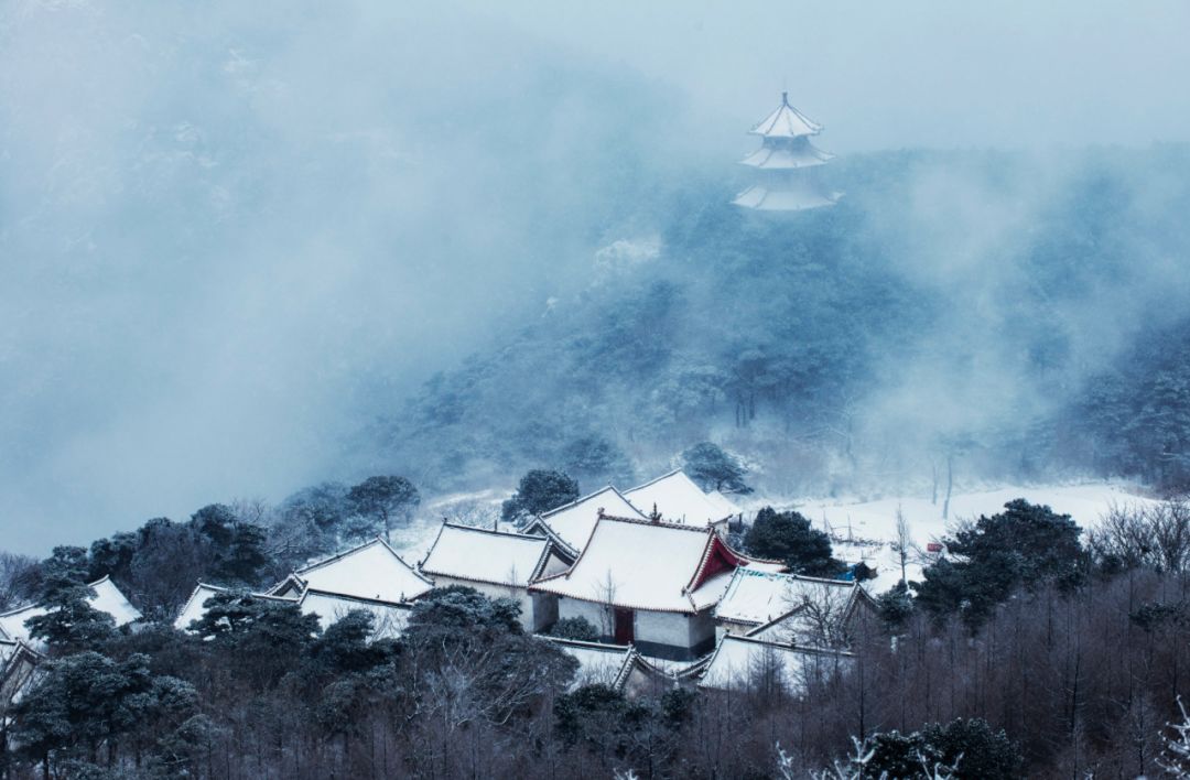 老家河南抖音,老家河南央视宣传片