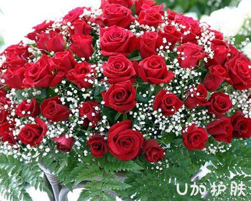 玫瑰美白紧致精油,玫瑰精油美白法