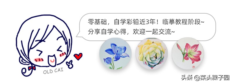 霹雳马彩铅哪个是正品,霹雳马彩铅属于什么档次