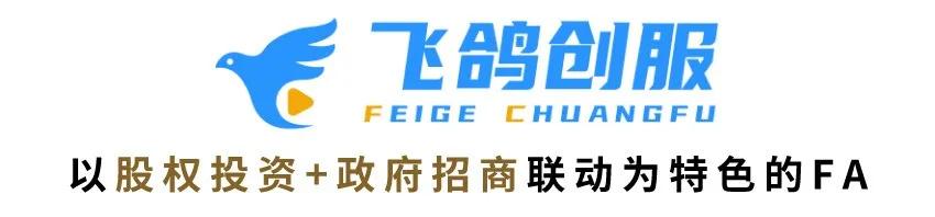 视频BP直投、足不出户在线投融，飞鸽创服开启新一代投融快车道