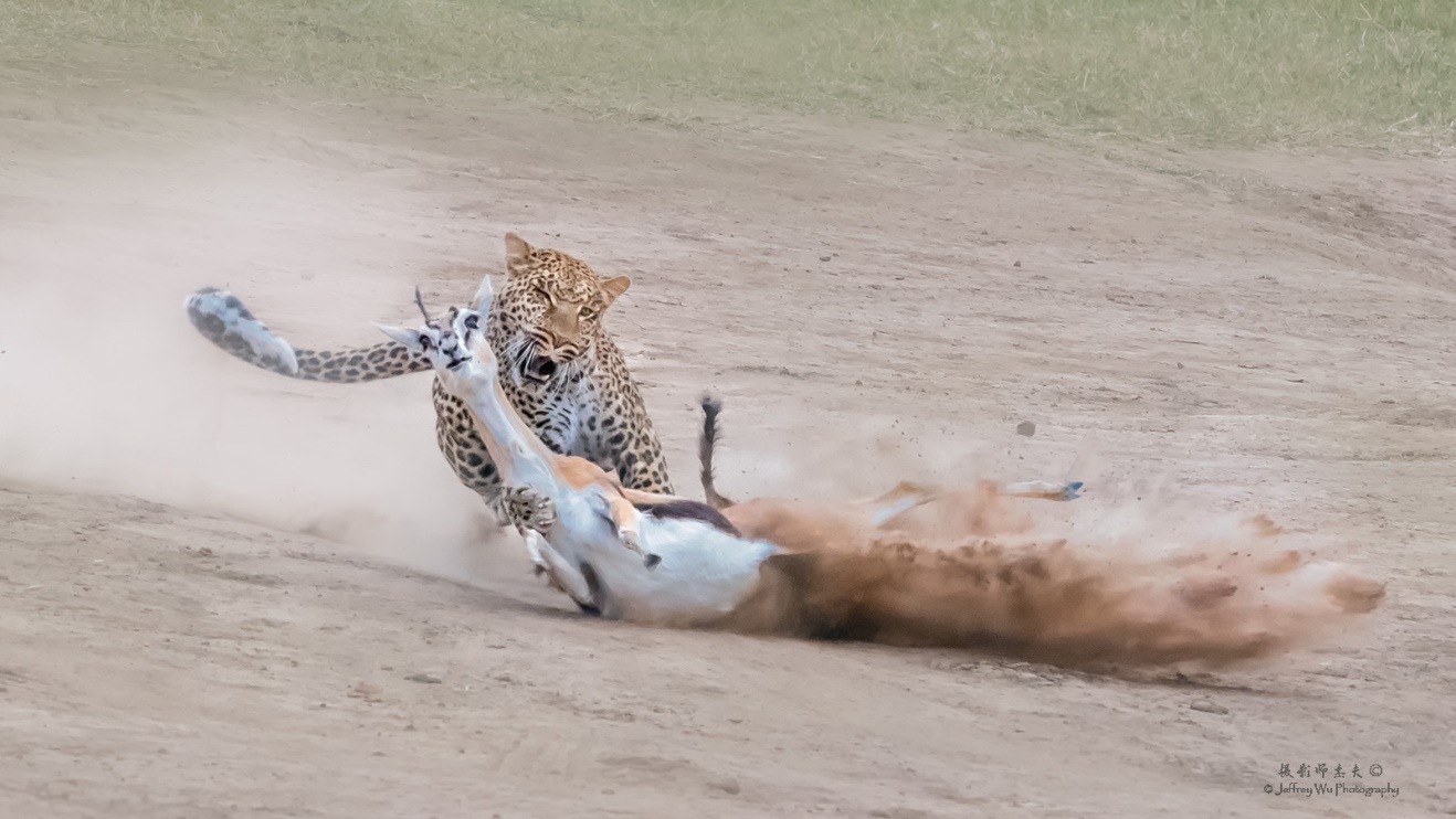 尼康nikond850拍摄视频,摄影器材篇尼康d850