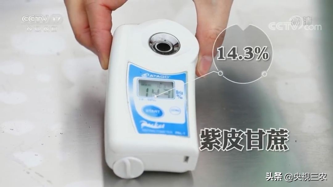 红糖补血吗可以经常喝吗,红糖真的可以补血吗