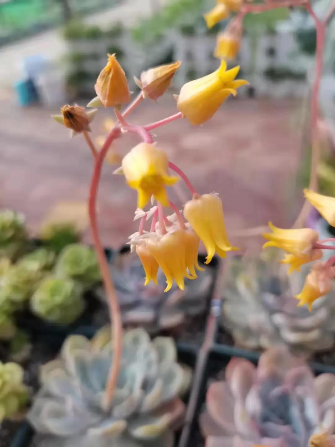 汉川5天周边游攻略,汉川徒步旅游攻略一日游