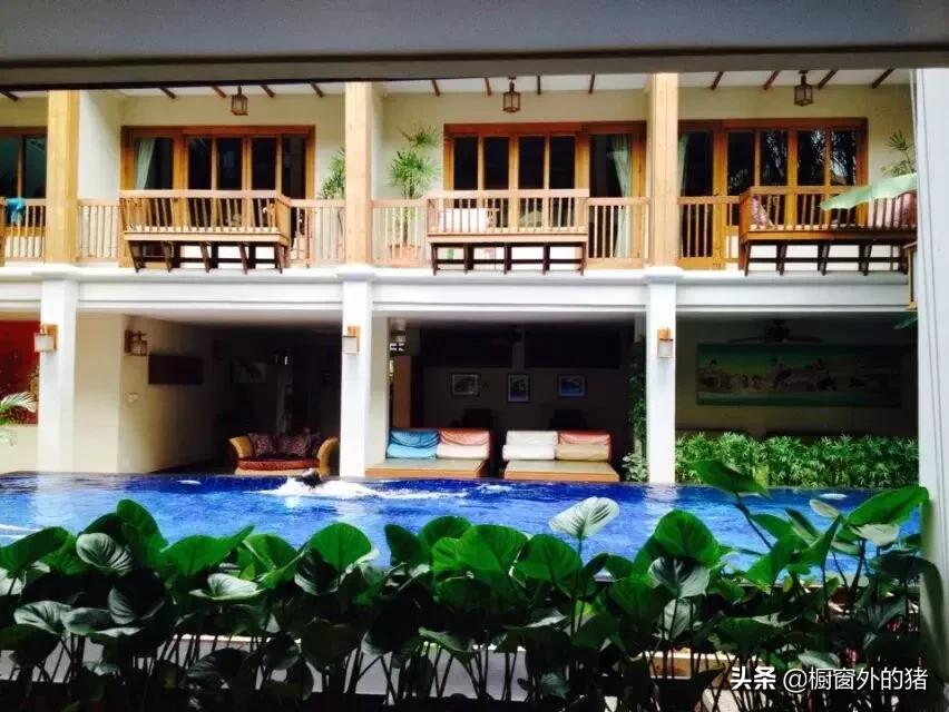 泰北玫瑰的英文,泰北玫瑰图片