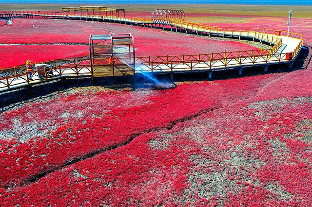 端午节辽宁旅游景点推荐,端午旅游景点推荐辽宁